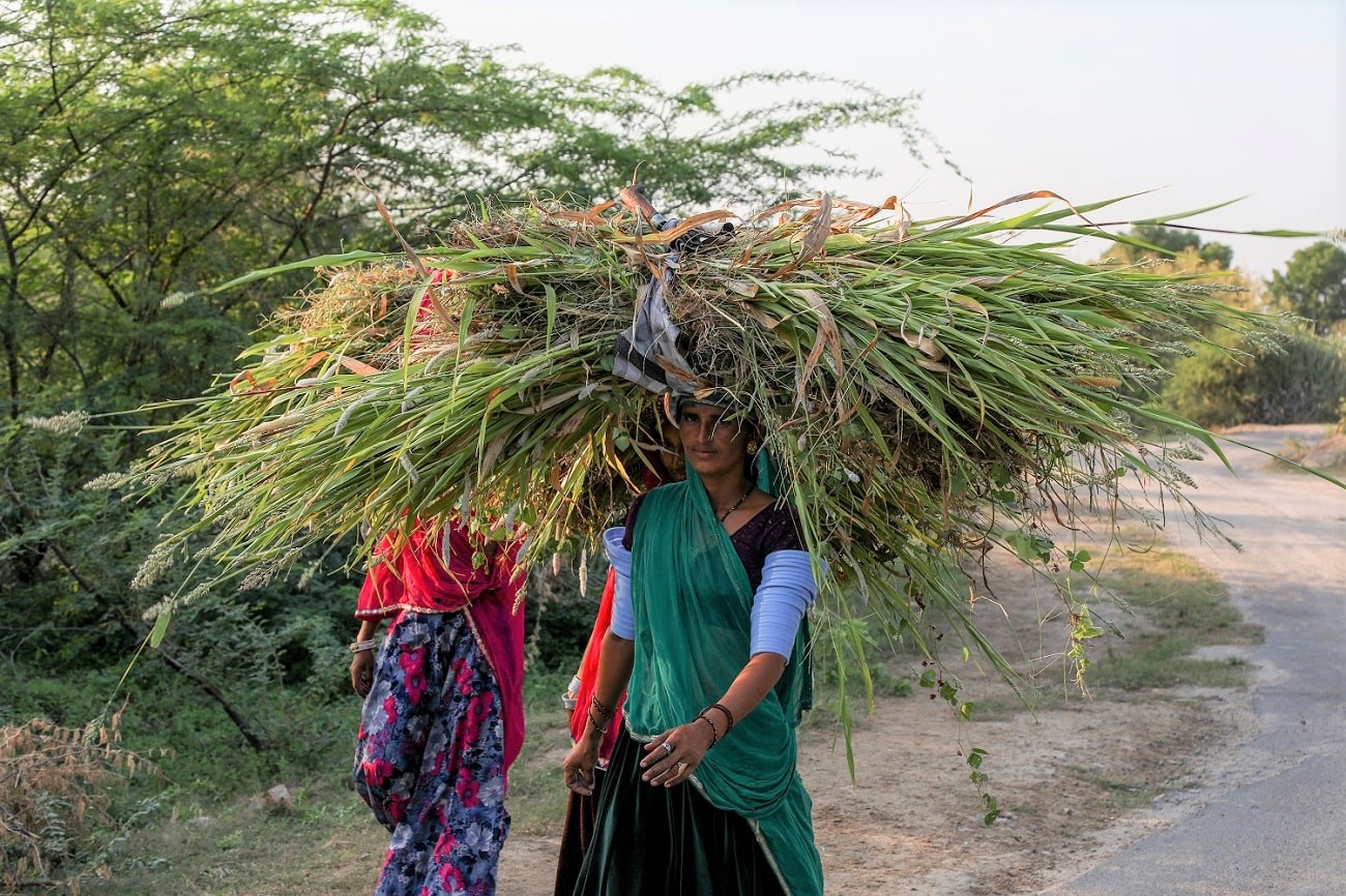 Jawai people