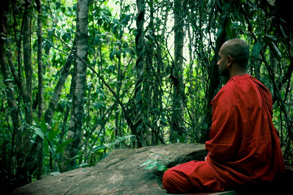 meditation, bhikkhu, mahamevnawa-1777522.jpg