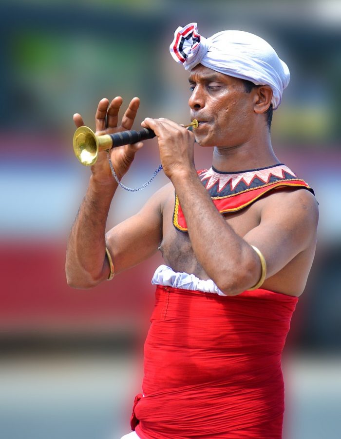 parade, local trumpet, musician-292300.jpg